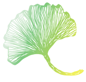 Gingko Logo-Nature To Nurture Aromatherapy & Massage in Hemel & St Albans