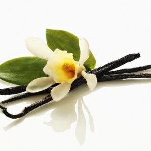 Vanilla - Nature to Nurture - Aromatherapy Massage in Hemel & St Albans