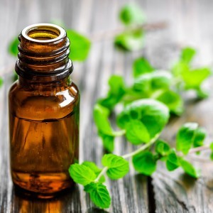 Mint Oil - Nature To Nurture - Aromatherapy In Hemel & St Albans