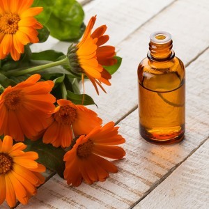 Calendula-macarated oil is created by steeping the flowers of the Marigold to obtain the rich properties of the flowers
