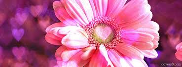 Pink Daisy Heart-Nature To Nurture Aromatherapy & Massage in Hemel, Herts & Bucks