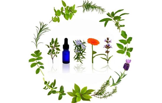 EO & Herbs -Nature To Nurture Aromatherapy & Massage in Hemel, Herts & Bucks