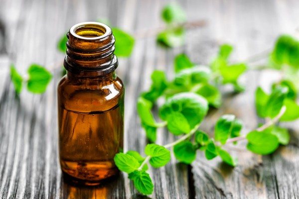 Peppermint Essential Oil & the Common Cold