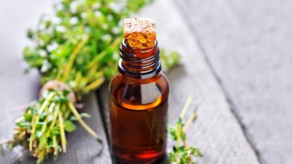 Thyme Essential Oil & Colds
