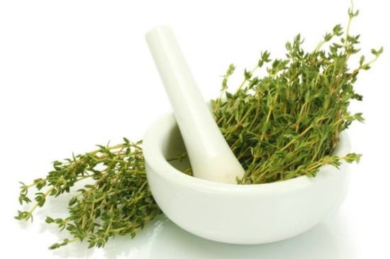 Herbs to help the Common Cold